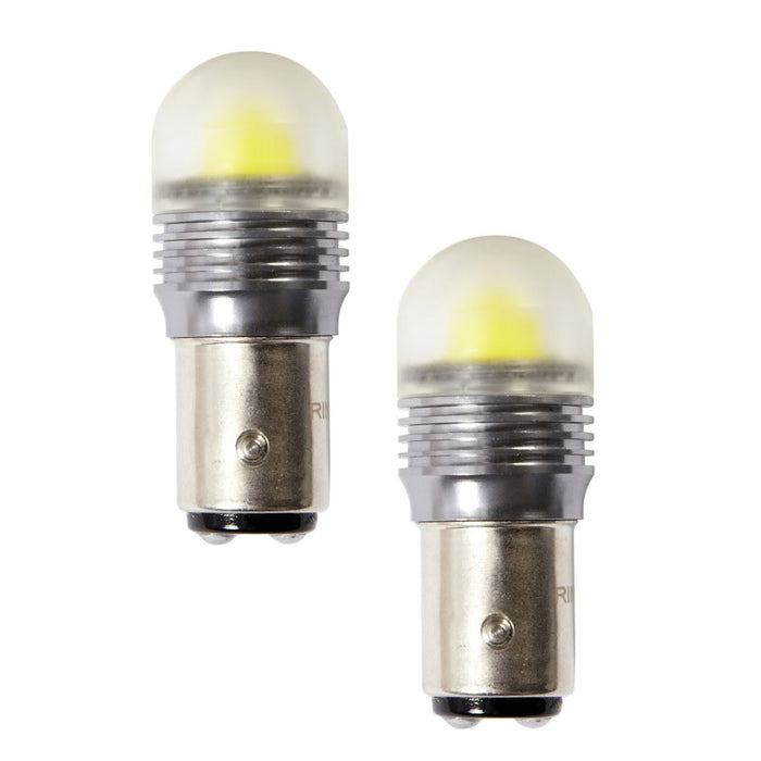 12V C5W 239 Ampoule LED premium, RW239CBLED